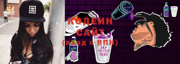 крисы Елабуга