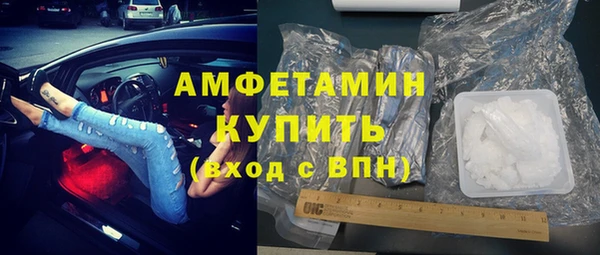 амф Дмитриев